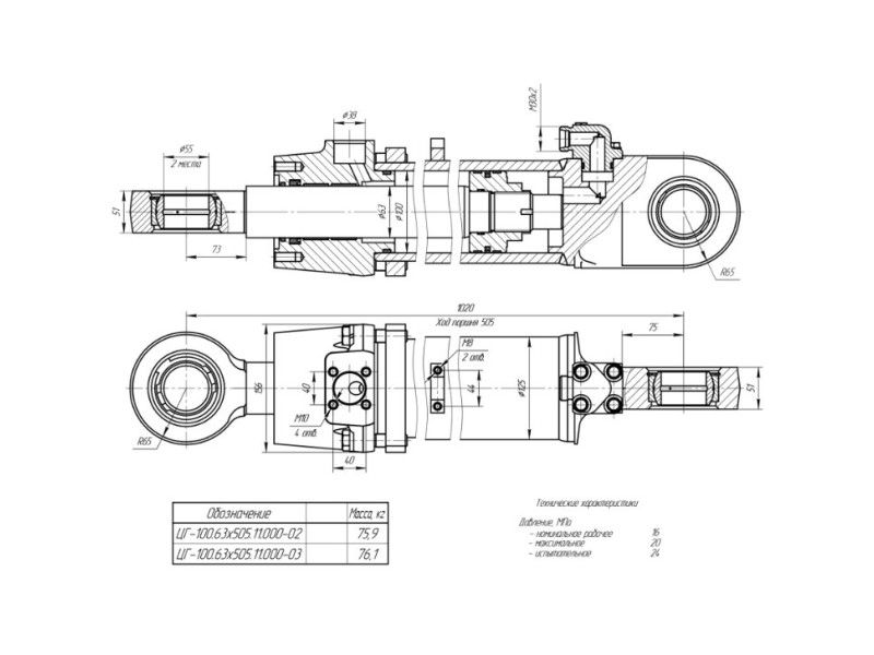 ЦГ-100.63х505.11-02