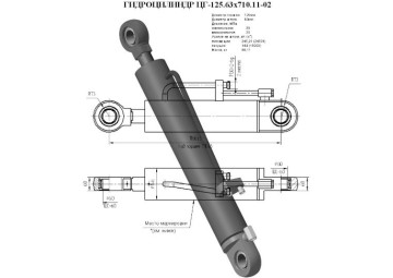 ЦГ-125.63х710.11-02