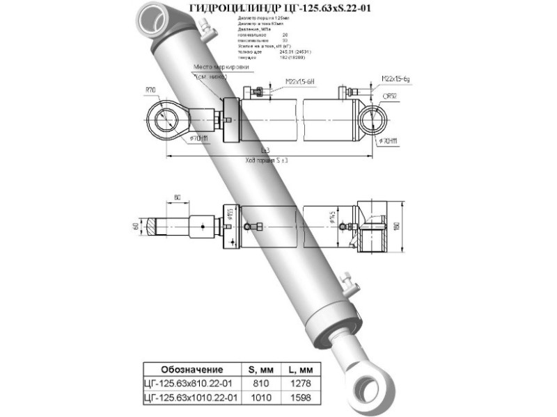 ЦГ-125.63х1010.22-01