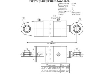 ЦГ-125.63х1000.11.000-02СБ