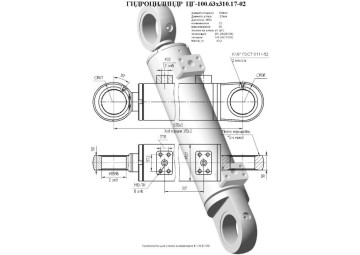 ЦГ-100.63х310.17-02