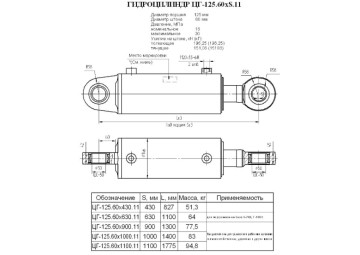 ЦГ-125.60х900.11