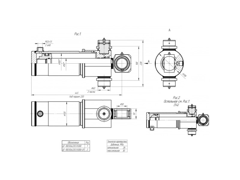 ЦГ-100.50х220.31