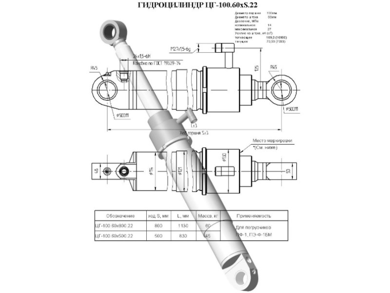 ЦГ-100.60х500.22