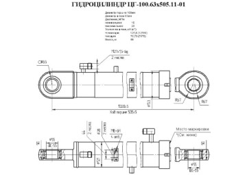 ЦГ-100.63х505.11-01