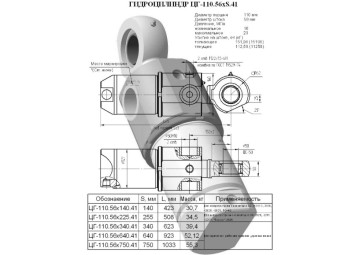 ЦГ-110.56х750.41